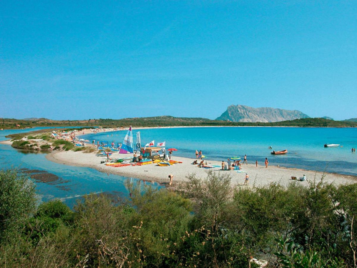 Apartment Residenza Gallura-3 By Interhome Apartment San Teodoro (Sardinia)